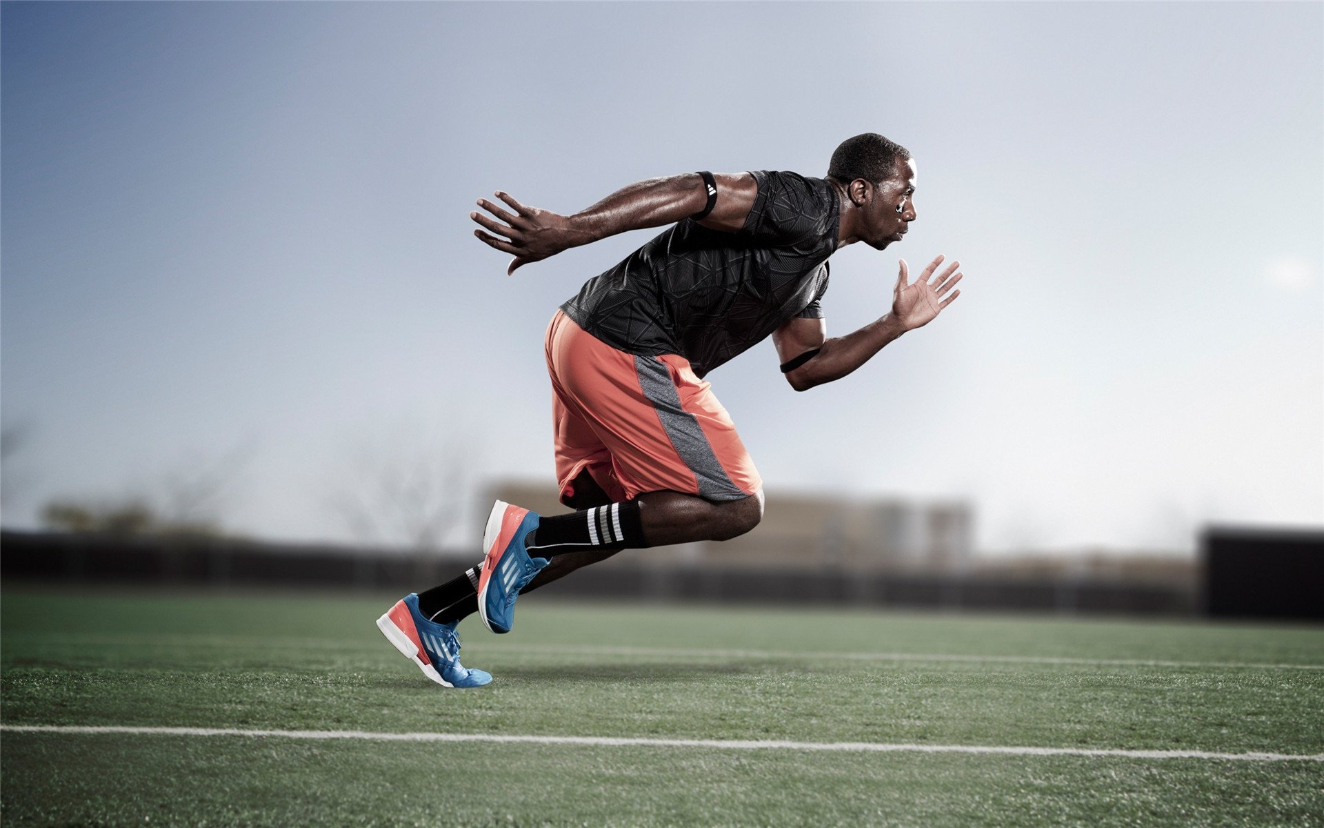 “赛车背后：团队深夜调校的坚持与智慧”，赛车团队怎么分工